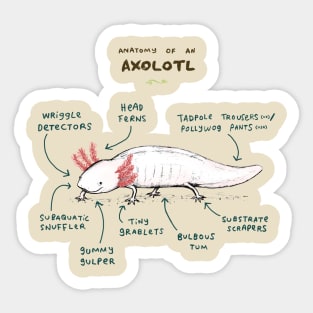 Anatomy of an Axolotl Sticker